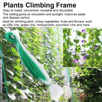 5.9x5.9Ft Bird Net Plant Support Vine Climbing Grow Trellises Netting Garden Mesh Fence to Protect Fruit Trees Bushes ผักจากไก่สัตว์ปีก