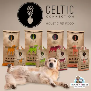 Celtic connection holistic dog cheap food