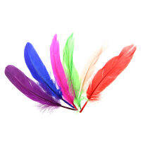 72 Pieces Craft Wild Goose Tail Wing Feather Millinery Mixed Colors 12-20cm