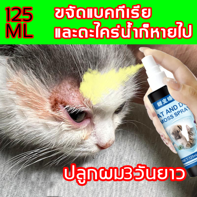 หิดแมว หิดสุนัข อาการคัน ผื่น ผมร่วง ยารักษาหิดสุนัข ผิวหนังอักเสบ คันตุ่ม หิดเรื้อรัง