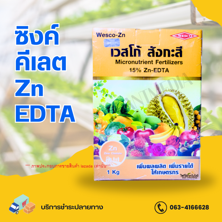 ซิงค์-คีเลต15-zn-edta-เวสโก้-สังกะสี-ยกลัง-12-กล่อง