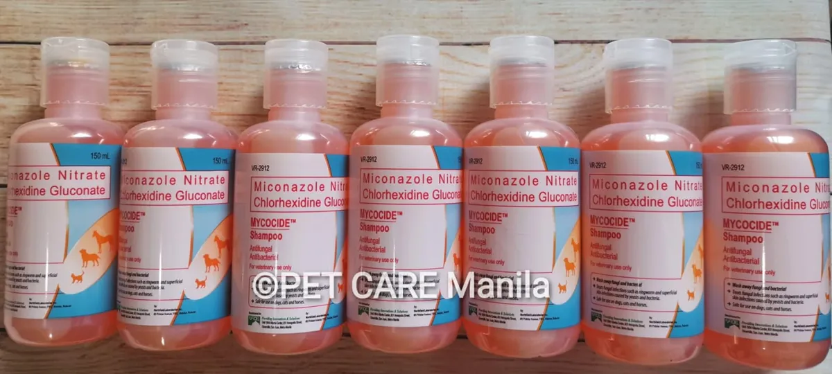 Forstærke hovedvej stykke MYCOCIDE Antifungal & Antibacterial Shampoo, 150ml | Lazada PH