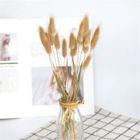 【cw】 60/30pcsPampasDried Flowers Bouquet Wedding Decorations EasterRabbit TailReal FlowersDecor