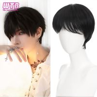 WTB Synthetic Black Wigs Men 39;s Short Straight Wigs with Bangs Blonde Mixed Cosplay Anime Wig Fashion Pixie Cut Daily Use Wigs