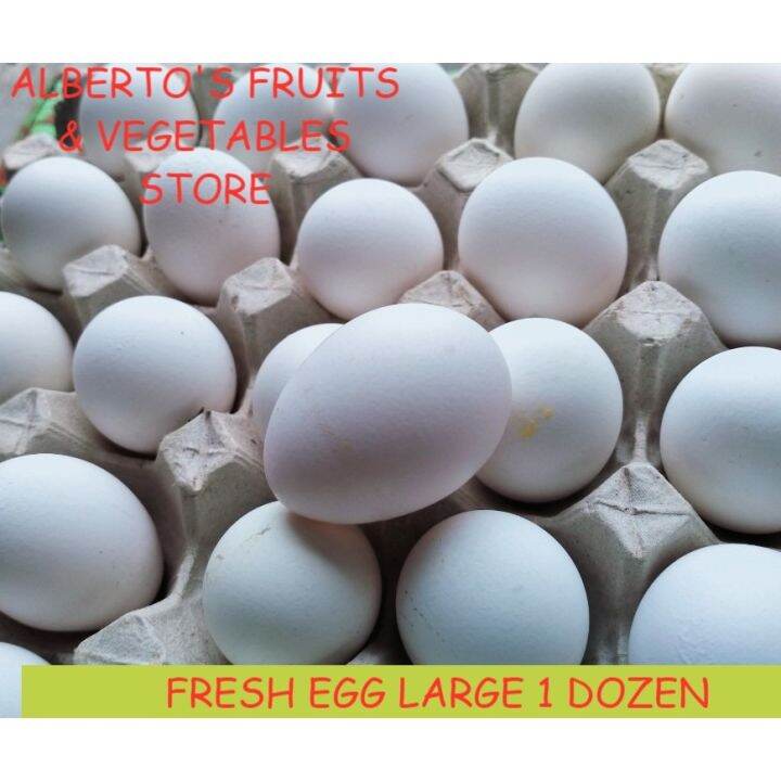FRESH EGG MEDIUM SIZE 1 dozen Lazada PH