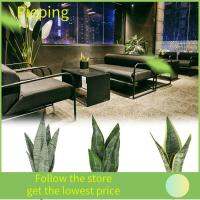 PIEPING ของขวัญสำหรับเด็ก การจัดดอกไม้ ของตกแต่งบ้าน พืชงูเทียม Sansevieria trifasciata Prain ความเขียวขจีเหมือนจริง หญ้ากล้วยไม้