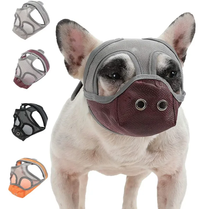 LUCKY CLAW Breathable Adjustable Grooming Tools for Pitbulls Boxers