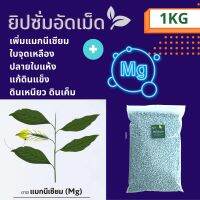 ยิปซั่มอัดเม็ด + แม็กนิเซียม แก้ใบจุดเหลือง ปลายใบแห้ง ll Soil conditioner  Small pallet Gypsum  + Magnesium