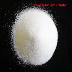 1KG Powder For Direct Transfer Film Printing For DTF Ink Printing PET Film  Printing And Transfer