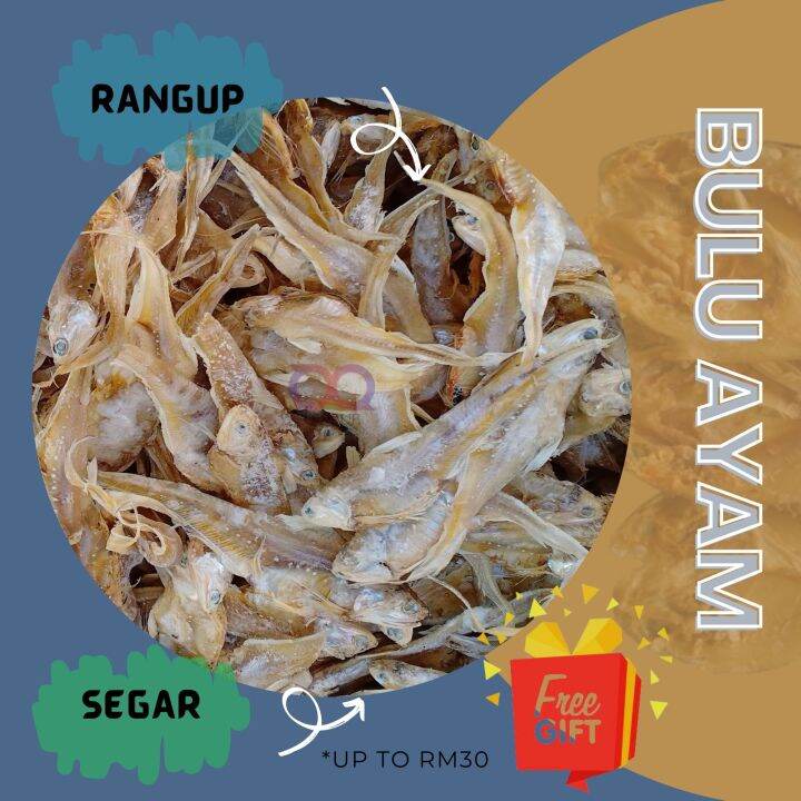 Ikan Masin Bulu Ayam (250g) Rangup | Lazada