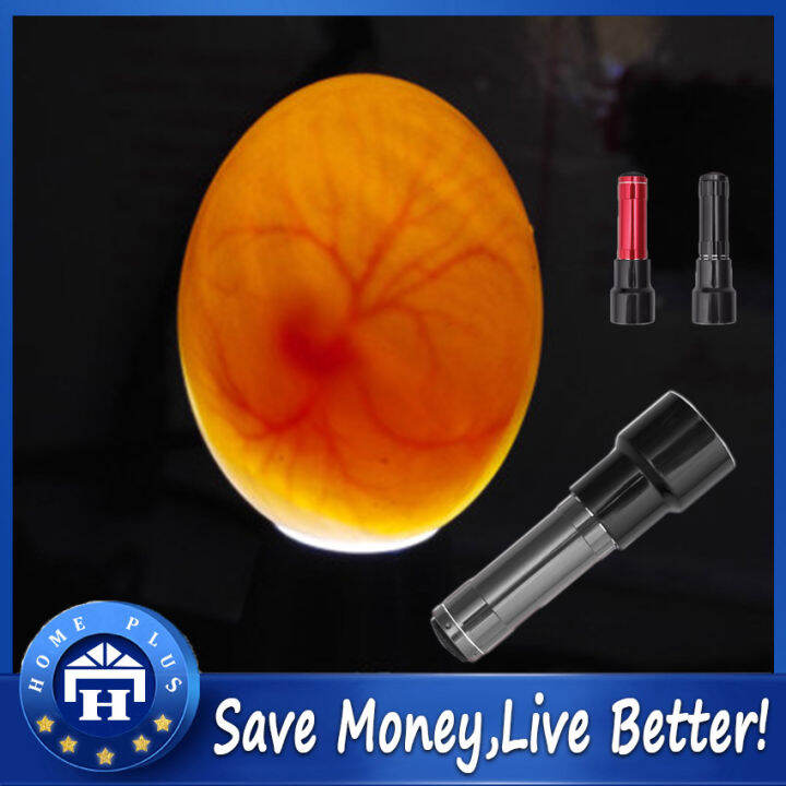 【Local delivery】 【9 LED】 Incubator Lamp Incubator Eggtester Egg