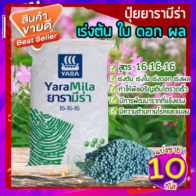 ปุ๋ยยารามีร่า 10 กก.🥑 สูตร 16-16-16 ปุ๋ยเคมี เร่งการเจริญเติบโตของต้น ใบ ดอก และผล อย่างสม่ำเสมอ ปุ๋ยใส่ต้นไม้ ปุ๋ยใส่ผัก ผลไม้ homes