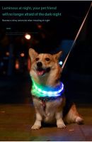 【WNING small pet】ไฟ Led ปลอกคอสุนัขสัตว์เลี้ยงแบบชาร์จไฟได้,กระพริบเปล่งปลั่งคอปกสุนัขไฟ Led Sakelar Warna กลางแจ้งกลางคืนปลอดภัยปรับได้ป้องกันการสูญหาย