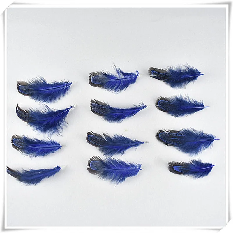 Handicraft Accessories, Pheasant Feathers