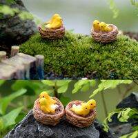 รังนกขนาดเล็กกับนกในสวนนางฟ้ามอส Terrariums ของประดับทำจากเรซิน Figurines