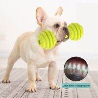 Dog Chew Toys Pet Molar Teeth Cleaning Puppy Teether Stick Sounding Ball Toy Bite-resistant Pet Interactive Training Supplies Toys