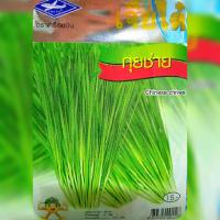 กุยช่าย Chinese chives เจียใต๋