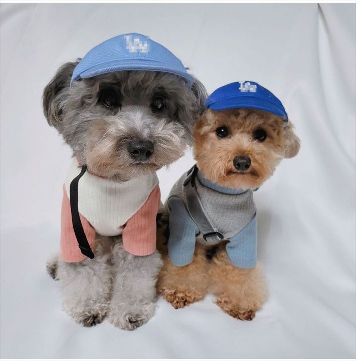 hot-พร้อมส่ง-รุ่นแสง-รุ่นปัก-สไตล์เกาหลี-ins21-หมวกสัตว์เลี้ยงแบบใหม่หมวกกันแดดสุนัขแมวและแมว-la-หมวกเบสบอล