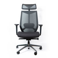 DF Prochair | เก้าอี้เพื่อสุขภาพ รุ่น A-Cor Chair H