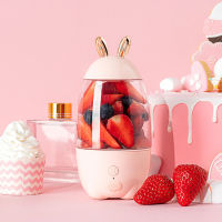 Fruit Dropshipping Rechargeable Size Mini USB Rabbit Blender Household