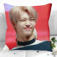 (All in stock, double-sided printing)    Felix pillowcase, decorative pillowcase, office, home, bedroom, square pillowcase, soft satin zipper   (Free personalized design, please contact the seller if needed)