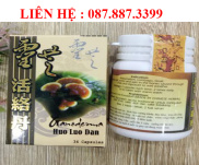 Ganodema Huo Luo Dan Linh Chi Hoạt Lạc Đơn