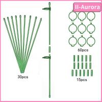 II-AURORA 30ชิ้นสติกเกอร์ต้นไม้ต้นไม้ในร่มแหวนรองต้นไม้กรงสนับสนุนพืชที่หนีบต้นไม้