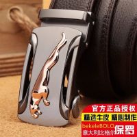 Paul authentic belt male pure cowhide leather belt buckle young fashion belts business casual jeans