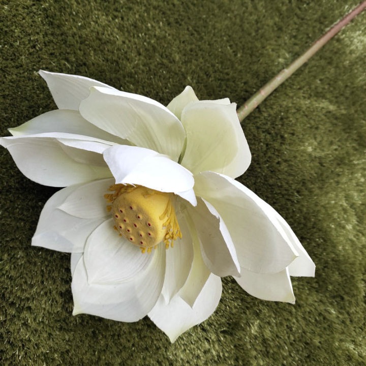บัวเดี่ยว-ใบบัว-ดอกไม้เทียมบัว-บัวตกแต่งบ้านวัดพระพุทธรูปเดี่ยว-บัว-lilyhuilinshen-น้ำ