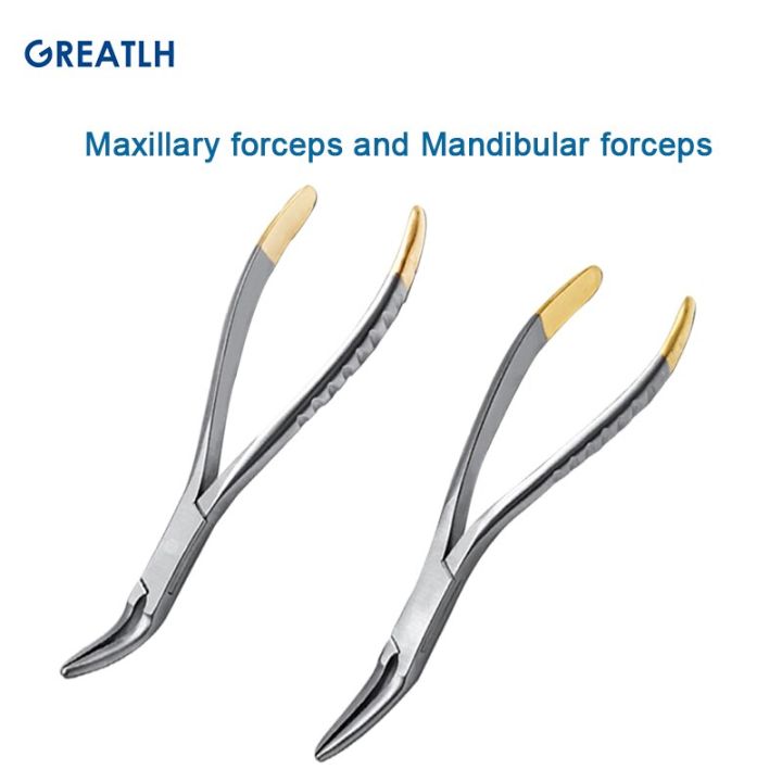 1pcs-maxillary-forceps-mandibular-forceps-dental-root-clamp-dental-material-dental-instrument-oral-beauty-care-stainless-steel