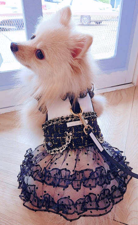 glitter-pooch-harness-ชุดรัดอก-สายจูง-เสื้อผ้า-สุนัข-หมา-แมว-สัตว์เลี้ยง-พร้อม-สายจูง-รุ่น-sassy-emily-black