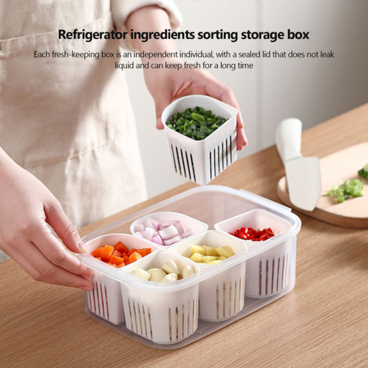 Fresh Keeping Box Refrigerator Onion Ginger Garlic Food Storage