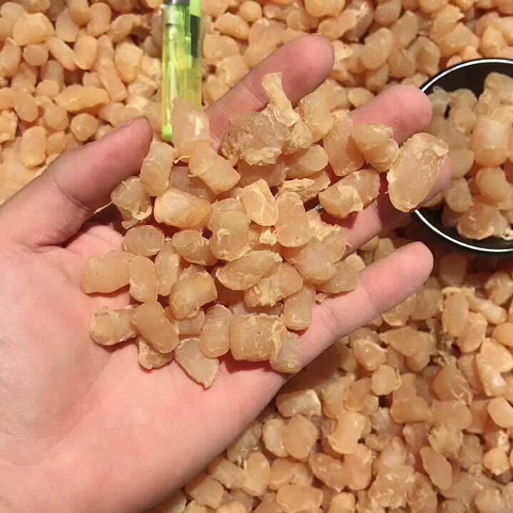 300 MultiHead Dried Scallop Dried Scallop Seafood Dry Goods Scallop