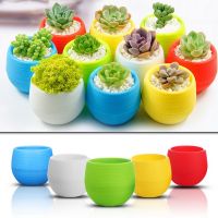 【Ready Stock】 ☫✖ D50 Plastic Flower Pot Colourful Mini Succulent Plant Flowerpot Home Office Decor