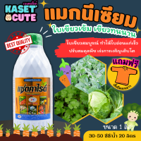 ? แถมฟรีเสื้อ 1 ตัว แซดคาไรด์ (แมกนีเซียม) ใบเขียวเข้ม เขียวทนนาน ทนร้อน ทนหนาว (1ลิตร)