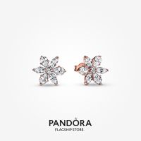 Official Store Pandora 14k Rose Gold Plated Sparkling Herbarium Cluster Stud Earrings