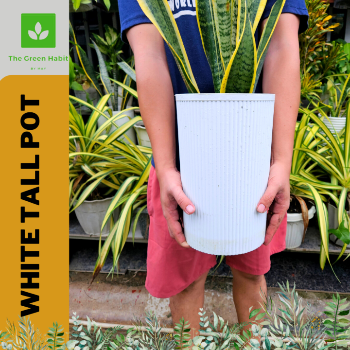 TGH Towering Elegance: Ludo Tall Pot - Elevate Your Green Spaces White ...