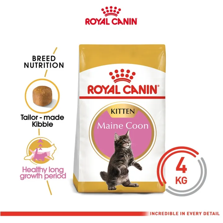 royal canin maine coon kitten dry food