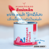 สีทาบ้าน สีแม่เหล็ก Hummingbird Magnet Paint แม่เหล็กติดกำแพง