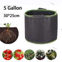 5 Gallon Plant Grow Bags Vegetables Plant Growing Hand Held Fabric Pot Grow Fruit Plants Gardening Tools Orchard Garden 6TH