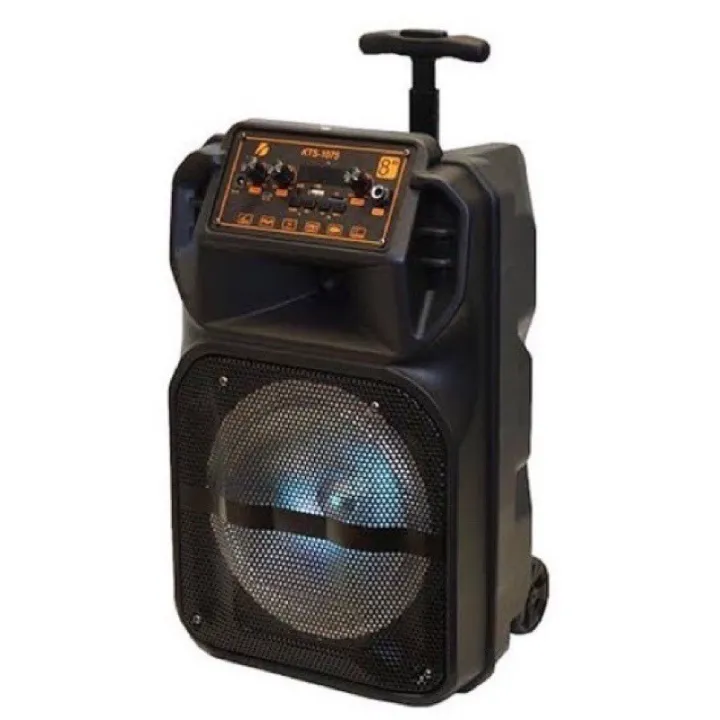 KTS-1075 8inch Big Sound Karaoke Wireless Speaker Free Microphone ...