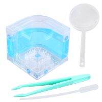 Ant Farm Gel Maze 3D การศึกษา Nursery Live Feeding System ความแปลกใหม่ Habitat New