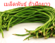 เมล็ดพันธุ์แท้100% อัตราการงอกสูง 100 แคปซูลต่อแพ็ค Long Bean Vegetable Seeds เมล็ดพันธุ์ Plants เมล็ด พันธุ์ไม้หายาก เมล็ดพันธุ์ผัก ของแต่งสวน แต่งสวน อัตราการงอกสูง ในสต็อกในประเทศไทย มีคุณค่าทางโภชนาการสูง เก็บเงินปลายทาง COD มีคุณค่าทางโภชนาการสูง