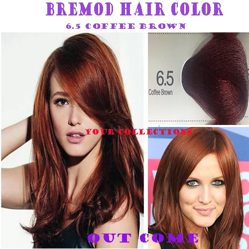 Authentic Bremod Performance Spa Hair Color Coffee Brown  with Bremod  Oxidizer 6% 100g | Lazada PH