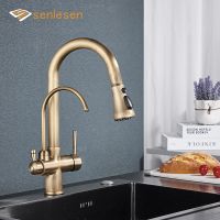 Caldwelllj Senlesen Antique Brass Filter Kitchen Faucet Deck Mounted Pull Out Spout 360° Rotate Three Water Modes Pure Mixer Sink Tap