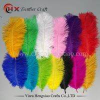 10 PCS Dyed Elegant Ostrich Plumes 20-25CM Natural Feathers For DIY Handwork Wedding Party Home Decoration Accessories 12 Colors