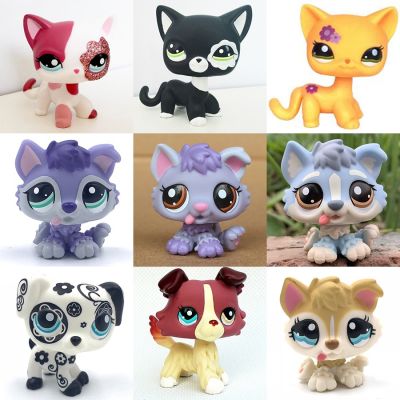 lps cat Collie old rare puppy dogs animal pet shop toys for kids
