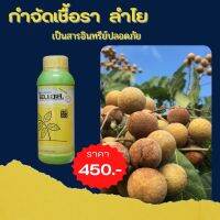 ลำไย ใบไหม้ ผลร่วง กำจัดโรคลำไย จากเชื้อราต่างๆ ปลอดสารพิษ ไอเอส และ FK-T(ใช้ได้ทุกพืช)โดย FK