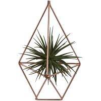 Hanging Air Plants Holder Rustic Wall Mount Irregular Pentagon Geometric Hanging Decor Rose Gold (No Plants)