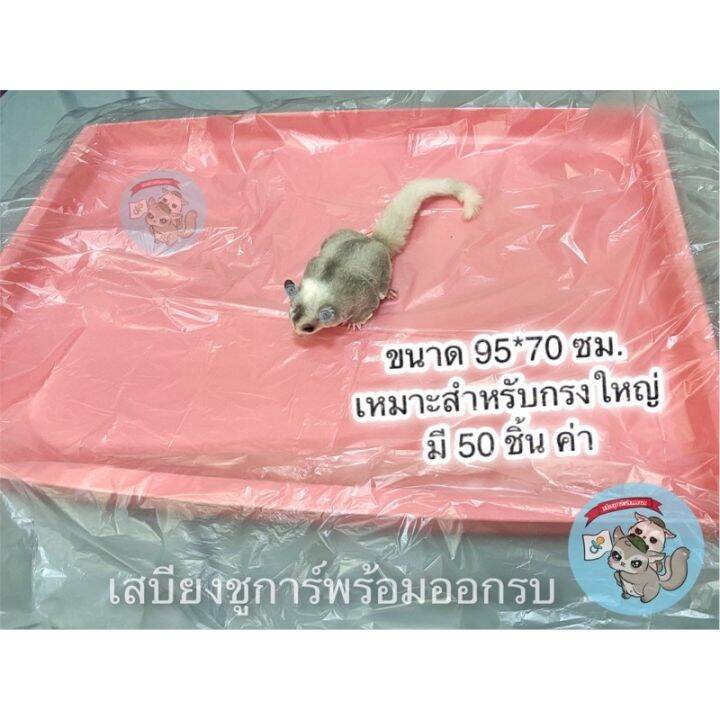 ส่งฟรี-v-50-แผ่น-plastic-cage-cover-แผ่นคลุมถาดรองกรง-แผ่นพลาสติกคลุมถาดรองกรง-ถาดรองกรง-กรง-อาหาร-หนอนนก-จิ้งหรีด-แมลง